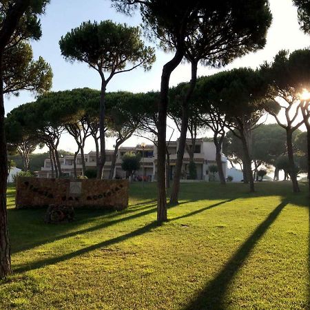 Algarve Friendly Apartment Албуфейра Екстериор снимка