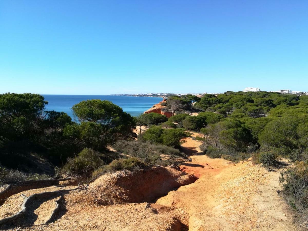 Algarve Friendly Apartment Албуфейра Екстериор снимка